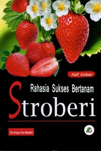 Rahasia Sukses Bertanam Stroberi