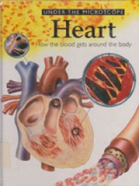 Under The Microscope Heart How The Blood Gets Around The Body Volume 1