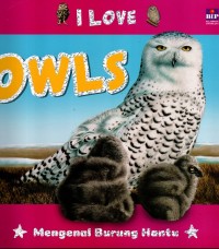 Image of I Love Owls