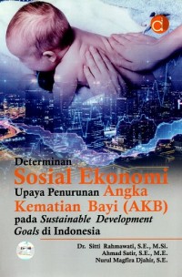 Image of Determinan Sosial Ekonomi Upaya Penurunan Angka Kematian Bayi (AKB) Pada Sustainable Development Goals Di Indonesia